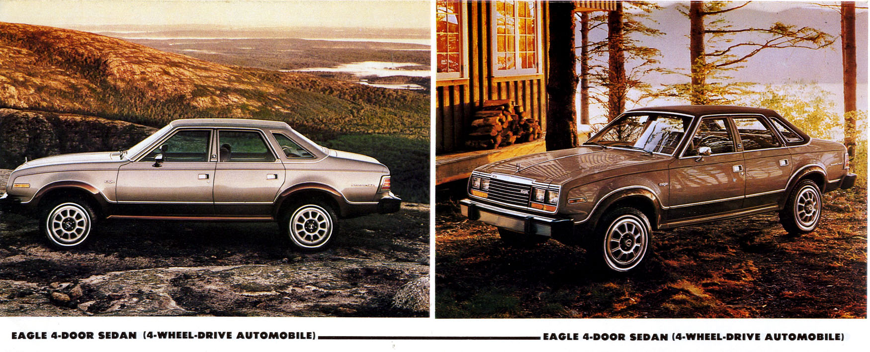 1980 AMC Full Line-07