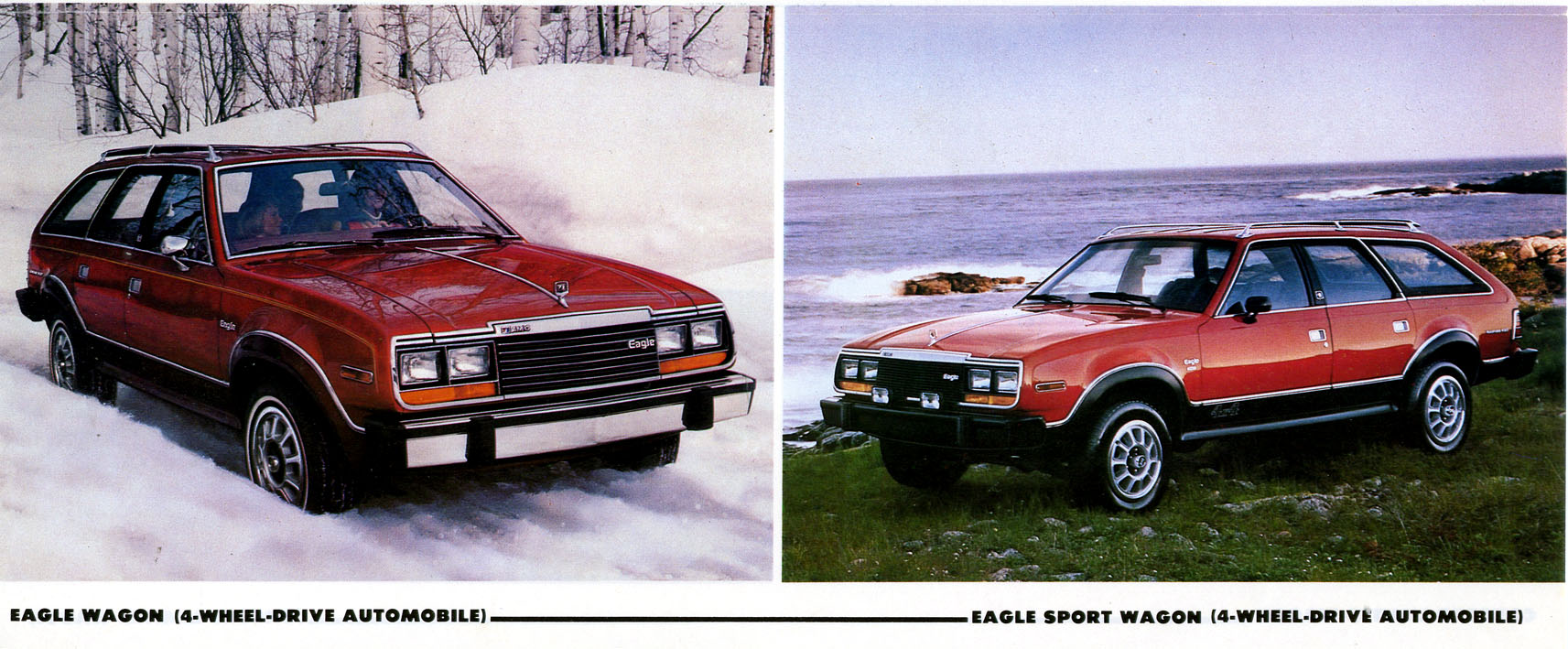 1980 AMC Full Line-08