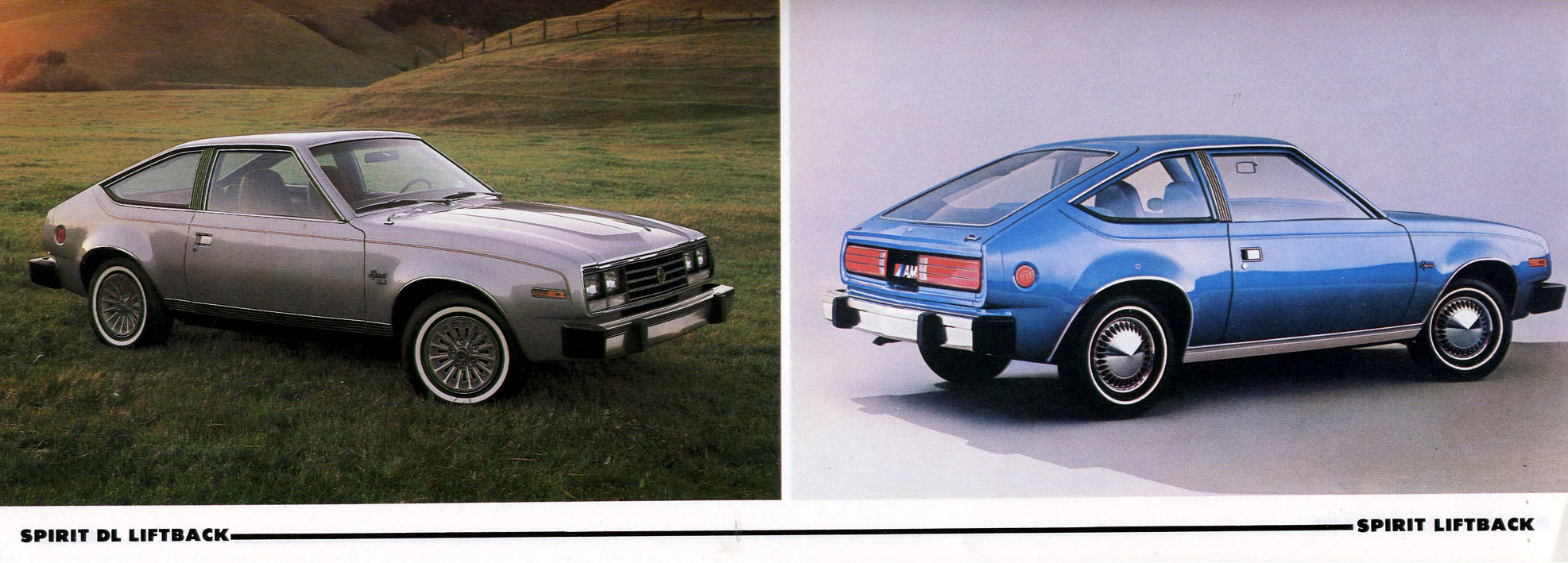 1980 AMC Full Line-09