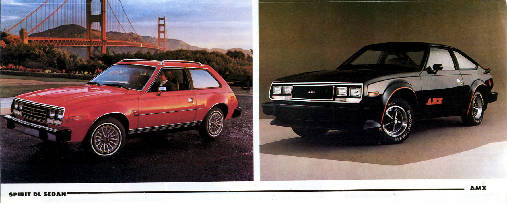 1980 AMC Full Line-10