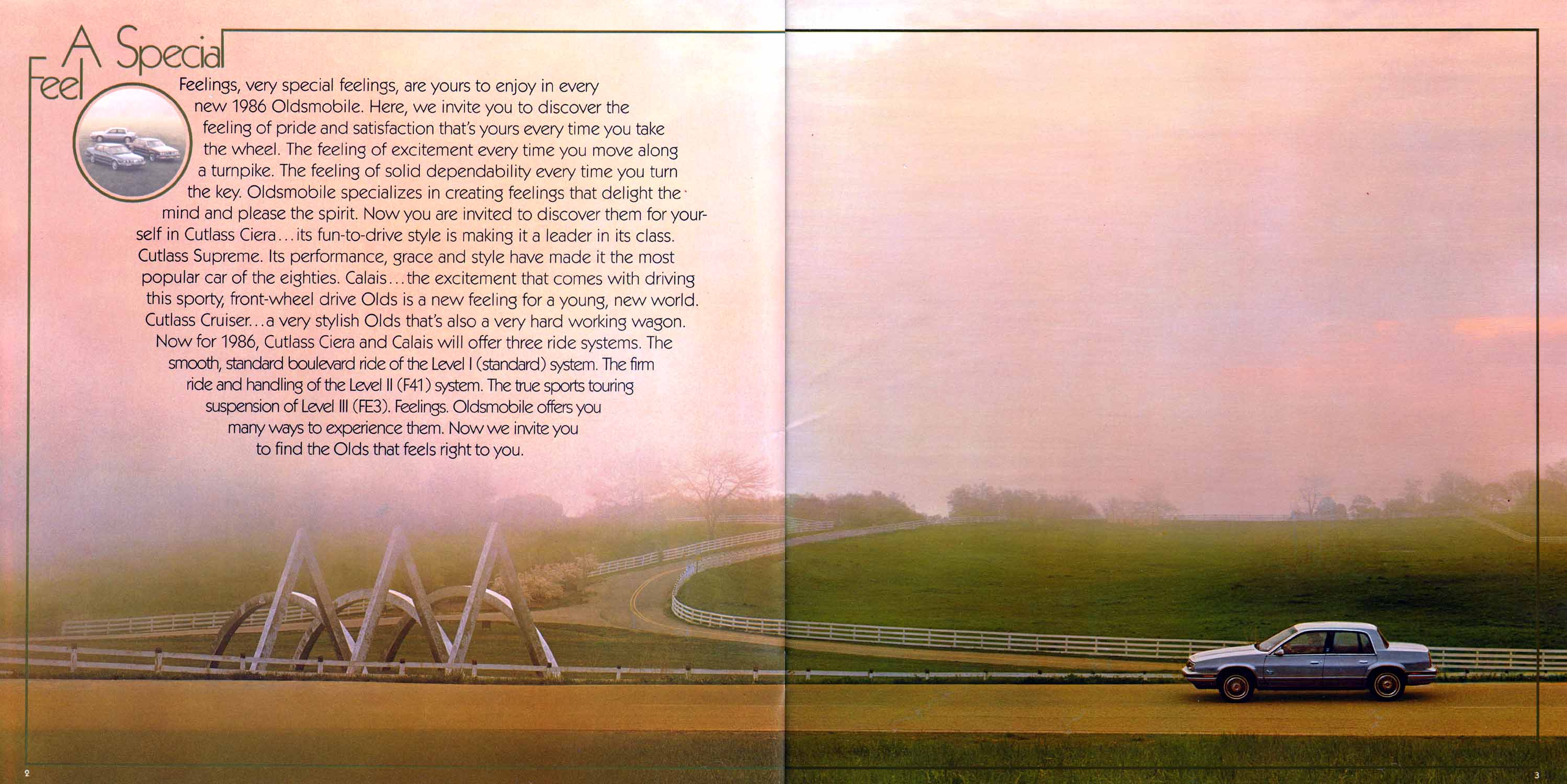 1986 Oldsmobile Mid Size (1)-02-03