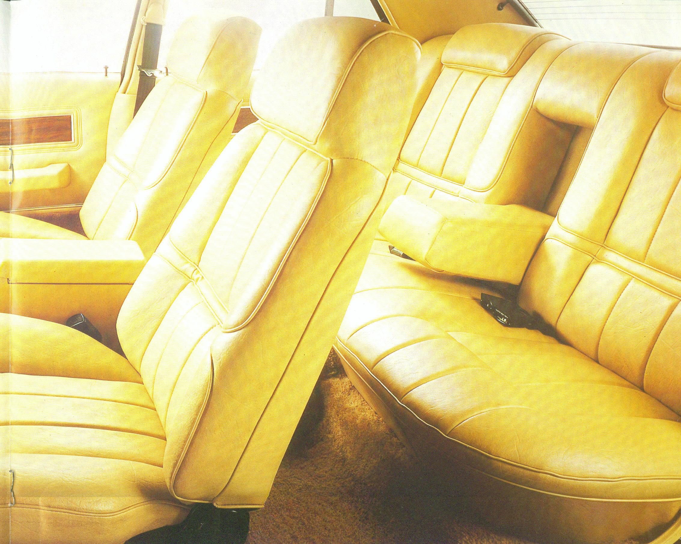 1976 Ford Fairlane 5