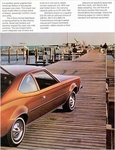 1973 American Motors-06