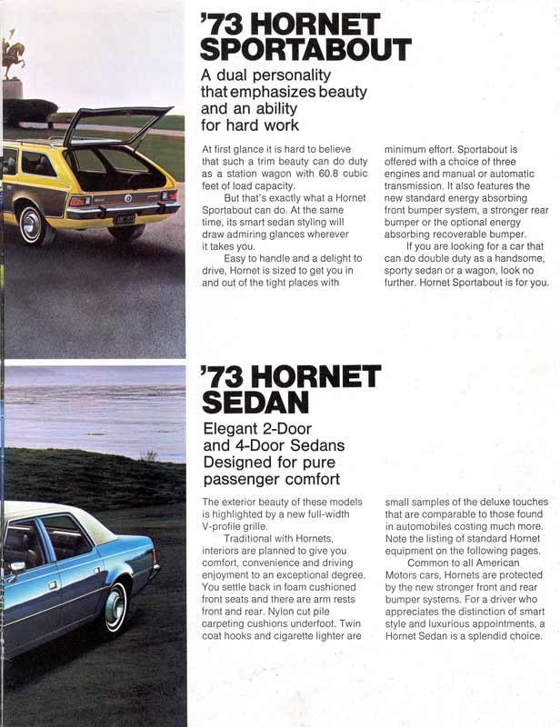 1973 American Motors-08