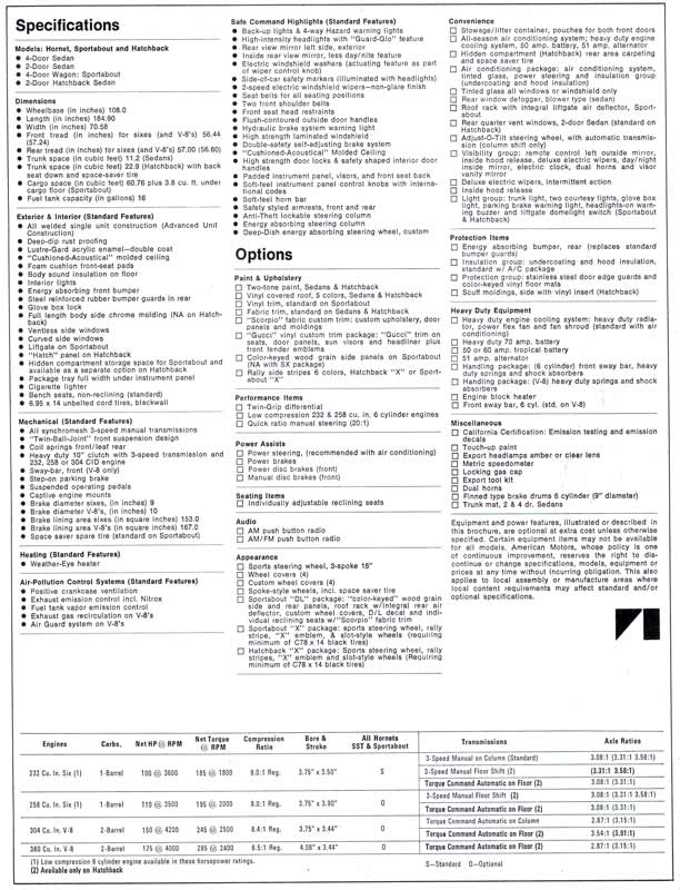 1973 American Motors-10