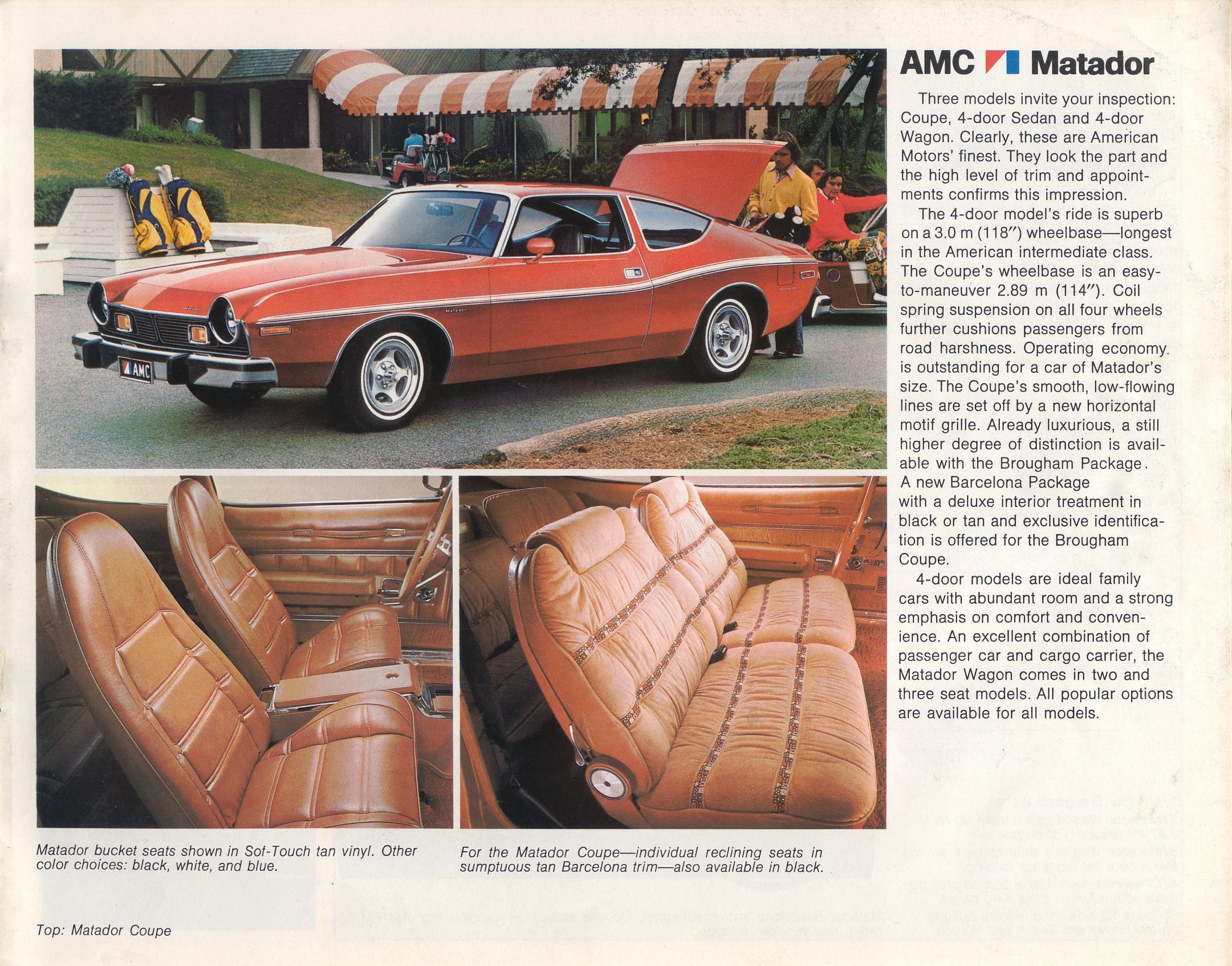 1976 AMC Full Line-19