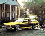 1976 AMC Passenger Cars-14