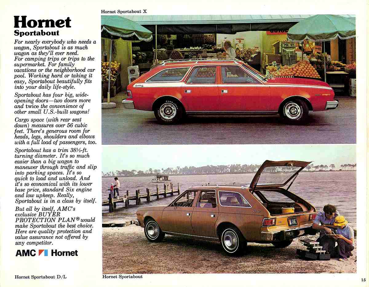 1976 AMC Passenger Cars-15