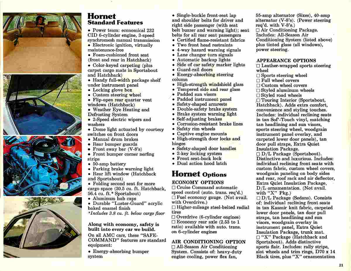 1976 AMC Passenger Cars-21