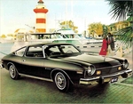 1976 AMC Passenger Cars-24