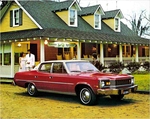 1976 AMC Passenger Cars-26