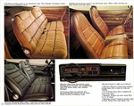 1976 AMC Passenger Cars-28