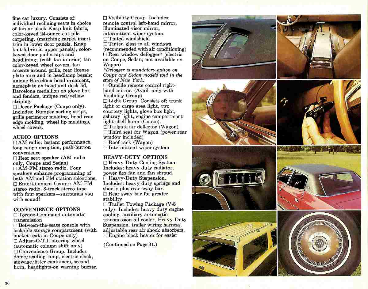 1976 AMC Passenger Cars-30
