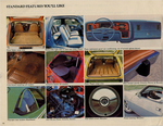 1977 AMC Auto Show Edition-12