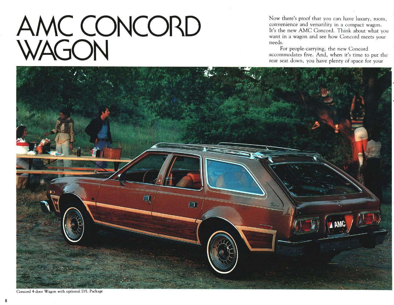 1978 AMC-08