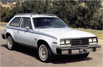 1979 AMC