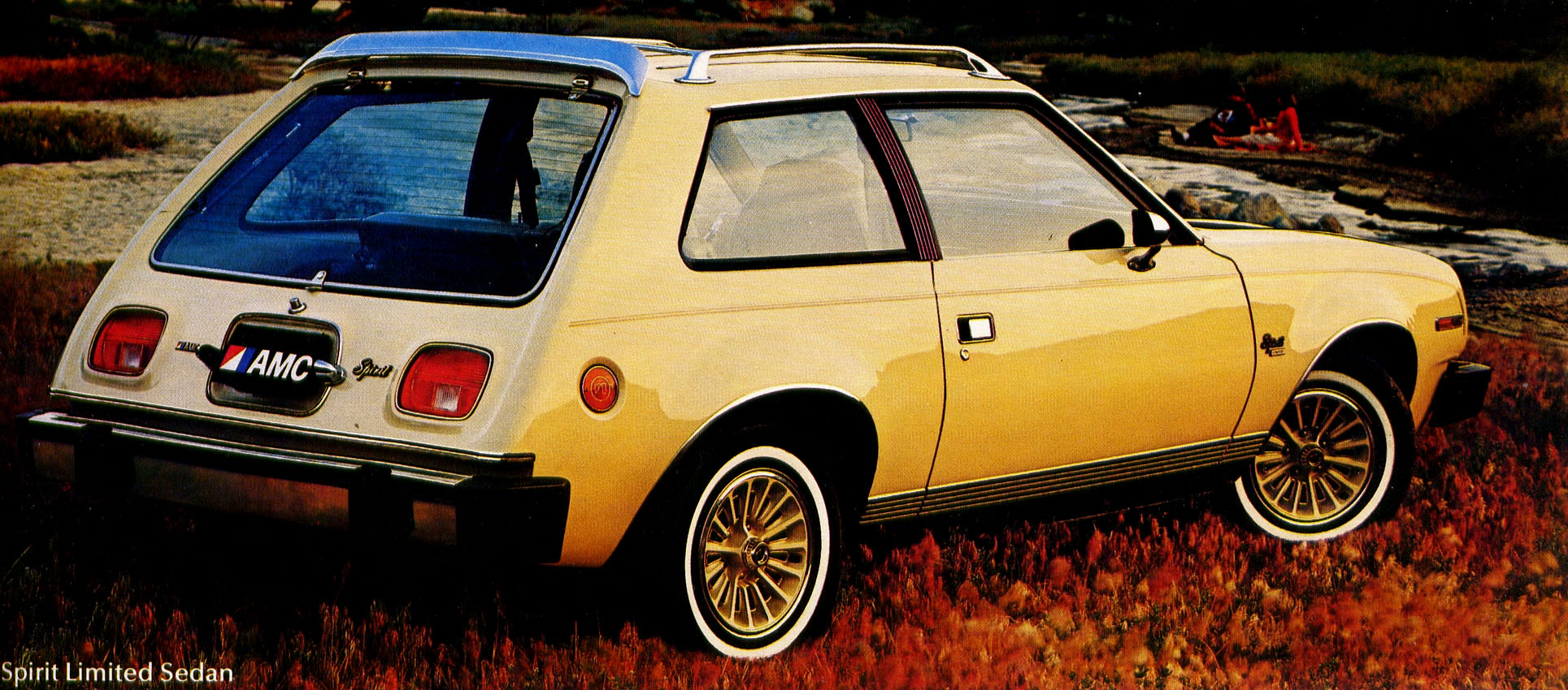 1979 AMC-13