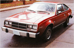 1981 AMC