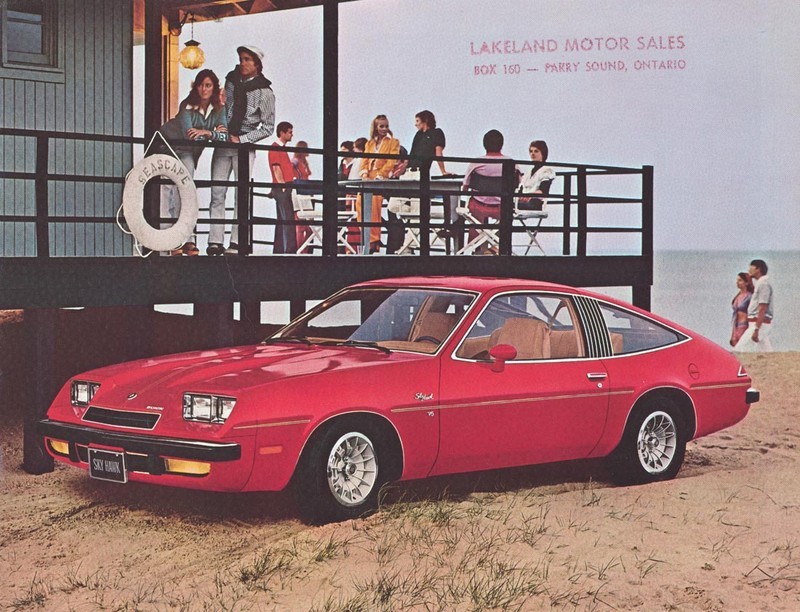 1975 Buick Skyhawk-03