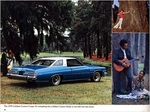 1975 Buick-41