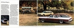 1975 Buick-54