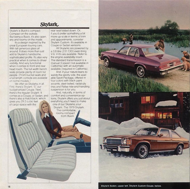 1979 Buick-18