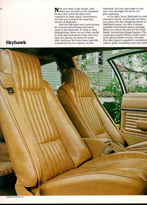 1980 Buick Skyhawk-03