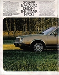 1980 Buick Skylark-02