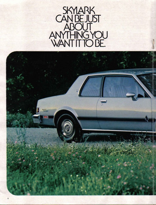 1980 Buick Skylark-06