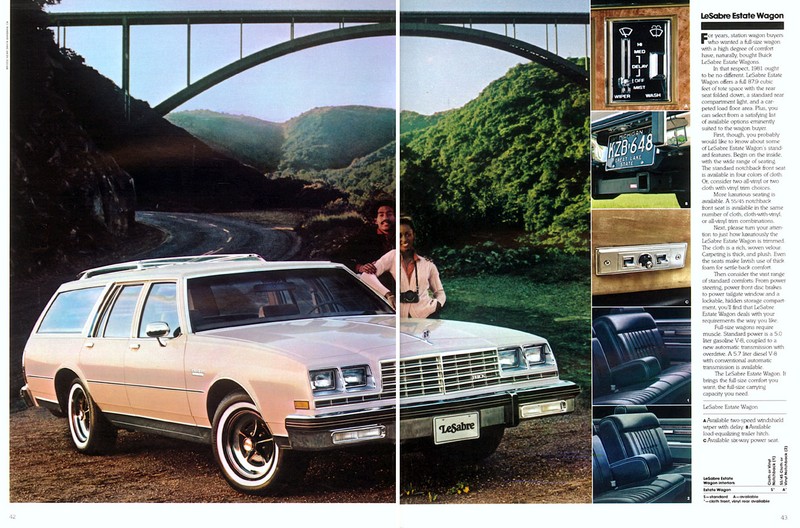 1981 Buick-22