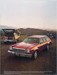 1977 Chevrolet Wagons-11