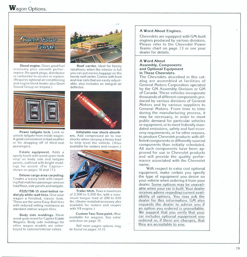 1981 Chevrolet Full Size-15