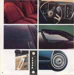 1981 Chevrolet Citation-14