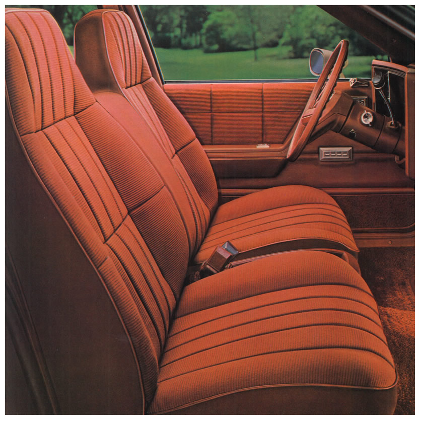 1982 Chevrolet Citation-10