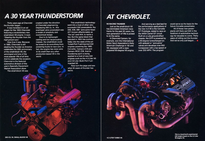 1984 Chevrolet Thunder-02-03