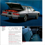 1987 Chevrolet Caprice Classic-06