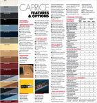 1987 Chevrolet Caprice Classic-17