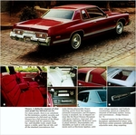 1976 Dodge Full Line-10