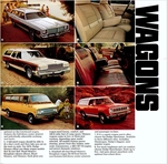 1976 Dodge Full Line-13