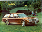1978 Dodge Diplomat-a08