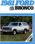 1981 Ford Bronco-01
