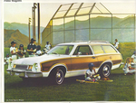 1977 Ford Pinto-05