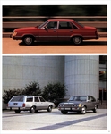 1984 Ford Cars-11