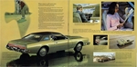 1973 Ford Thunderbird-11 amp 12