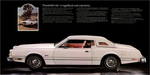 1974 Ford Thunderbird-04-05