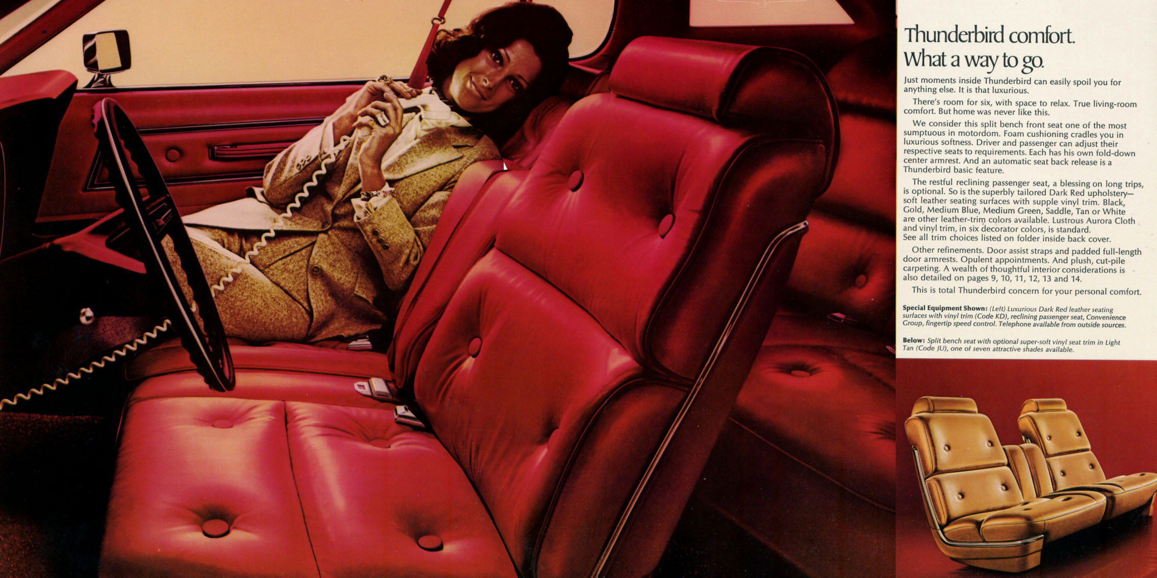 1974 Ford Thunderbird-08-09