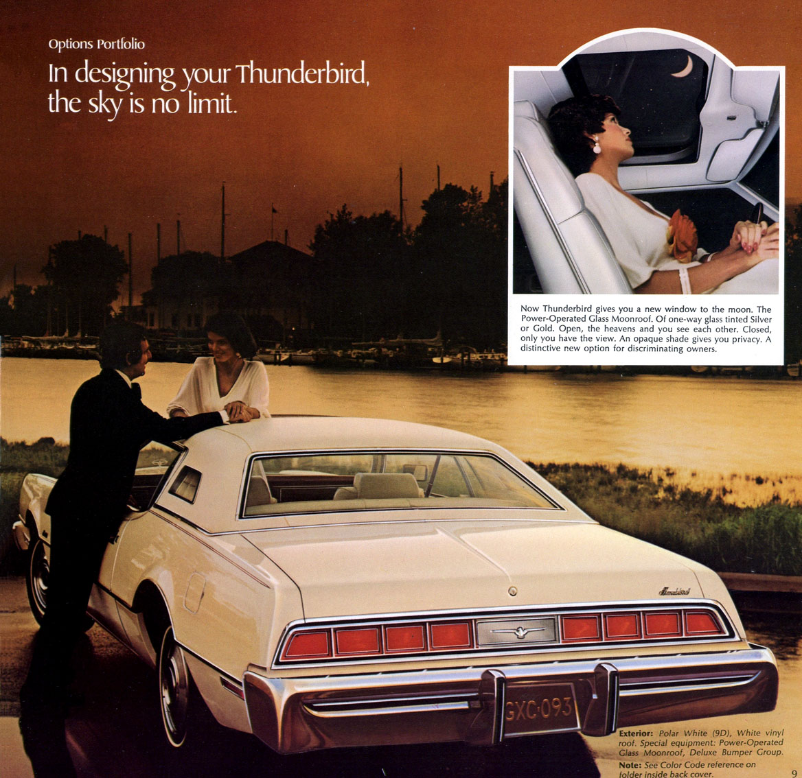 1974 Ford thunderbird parts #9