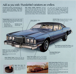 1974 Ford Thunderbird-14