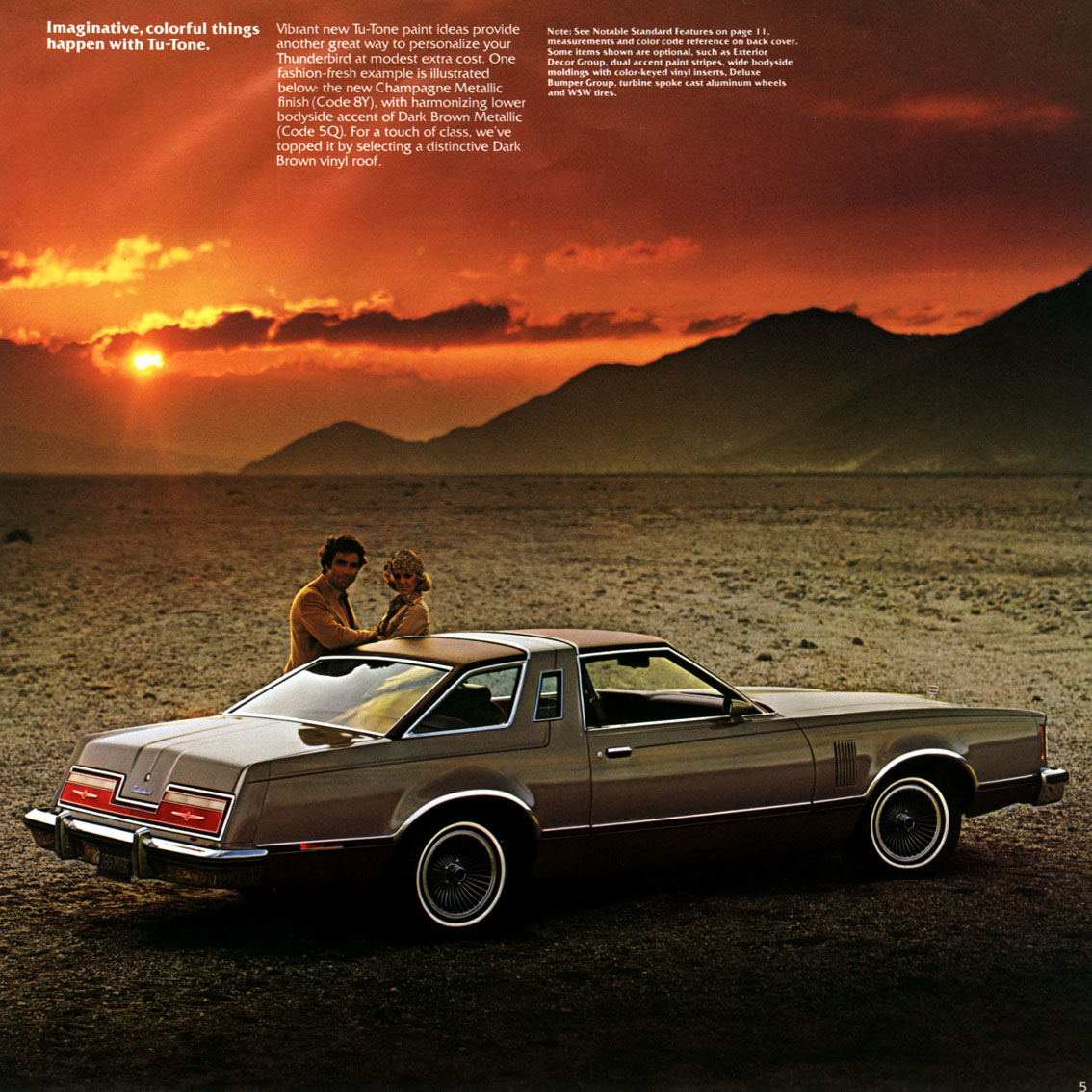 1977 Ford thunderbird part #5