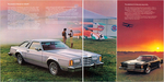 1979 Ford Thunderbird-05